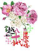 重生穿越八十年代农家媳