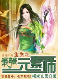 重生之元素仙尊