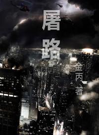 屠路 金丙讲什么