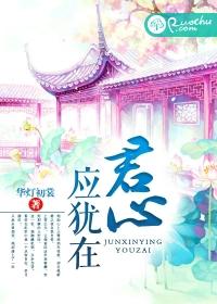 君心有余
