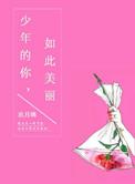 少年的你如此美丽有番外吗
