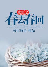 重生之春怀卷