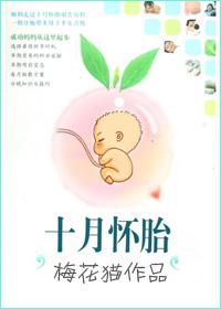 十月怀胎电视剧全集