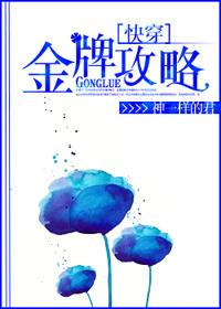 快穿金牌攻略txt