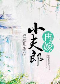 穿越再嫁小夫郎