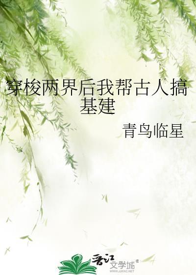 穿梭两界后我帮古人搞基建txt