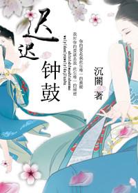 迟迟钟鼓初长夜打一肖