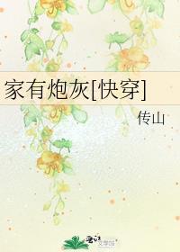 家有炮灰 传山