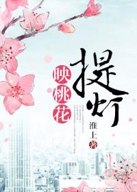 提灯映桃花周一是周晖吗