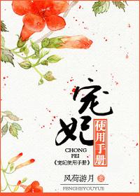 宠妃使用手册书包网