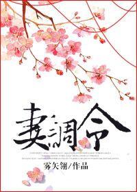 妻调令纪