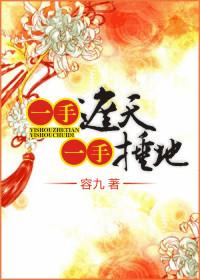 一手遮天一手捶地电视剧