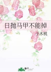日抛马甲不能掉子木桃免费阅读