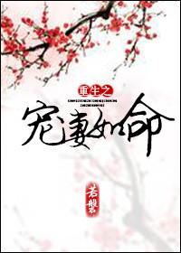 重生之宠妻如命三观不正