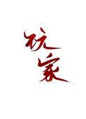 玩家海淘ps2到货机身被砸洞