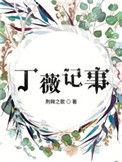 丁薇记事无弹窗