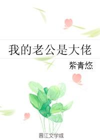 我的老公是大佬类似重生文
