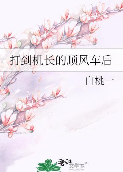 打到机长的顺风车后番外