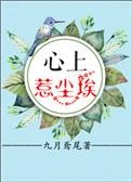 心上惹尘埃短剧免费观看