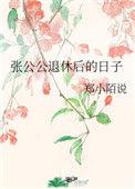 张公公退休后日子txt百度链接