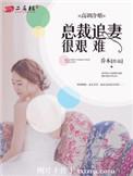 冷总裁的追妻之路