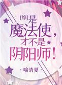 综是魔法使才不是召唤师免费