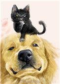 穿成猫后靠玄学爆红作者焦糖色