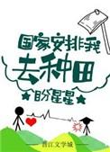 国家安排我去种田—盼星星
