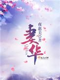 妻华txt完本