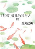 红楼之贾琮科举路