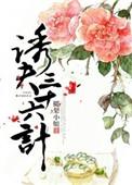 三十六计诱敌深入是哪一计