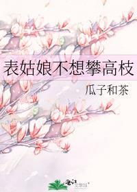 表姑娘不想攀高枝晋江