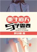 重生渣夫与学霸妻男主