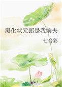 黑化状元郎是我前夫 结局