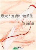 顾大人是什么电视剧