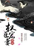 权臣的宠妻手册