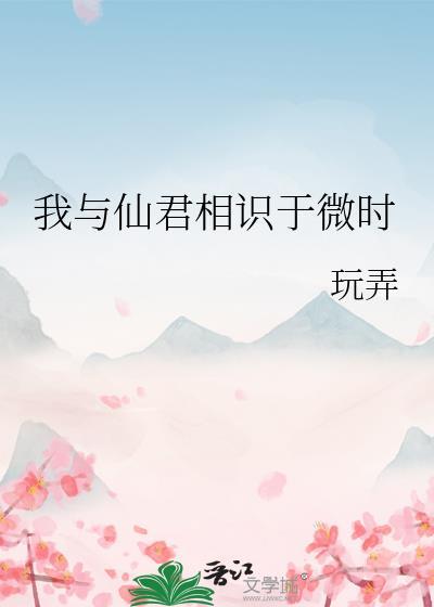 红楼之点石成金 全文阅读