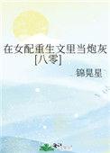 在重生女配文里当炮灰锦晃星