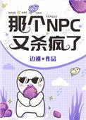 那个npc又杀疯了txt宝书