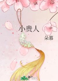 小贵人全文免费