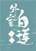 外室白莲手册全文