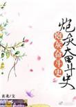 炮灰的奋斗史清