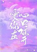 爱你在心口难开中文歌词
