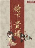 榜下贵婿TXT书包网