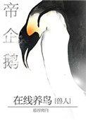 帝企鹅在线养鸟免费全文阅读