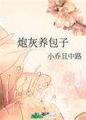 炮灰养包子讲的什么故事
