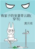 败家子宠妻青云路txt