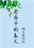 老房子的春天TXT百度
