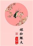 嫁给鳏夫免费阅读