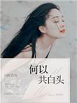 何以共白头故事简介
